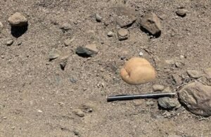 Hike to Large Erratics in Gingko Petrified Forest State Park – Ice Age ...